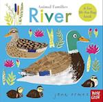 Animal Families: River