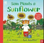 National Trust: Sam Plants a Sunflower