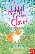 Rabbit Called Clover