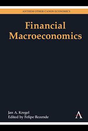 Financial Macroeconomics