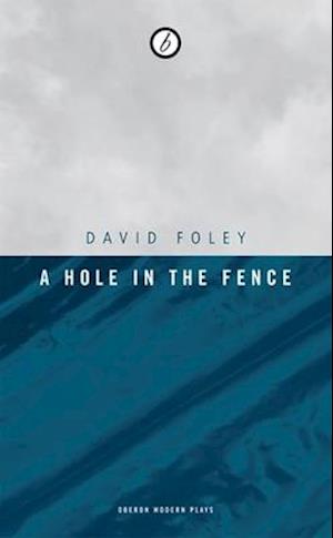 A Hole in the Fence