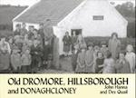 Old Dromore, Hillsborough and Donaghcloney