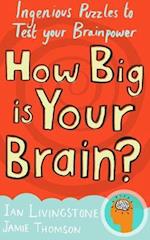 How Big is Your Brain?