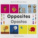 Opposites/Opostos