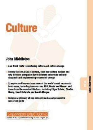 Culture – Organizations 07.04