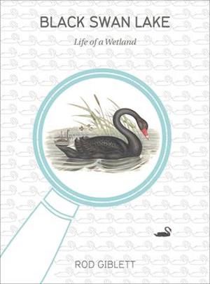 Jeg vasker mit tøj At opdage G Få Black Swan Lake af Rod Giblett som Paperback bog på engelsk -  9781841507040