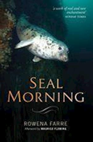 Seal Morning