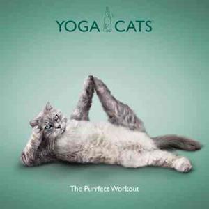 Yoga Cats: The Purrfect Workout