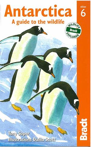 Antarctica, Bradt Travel Guide (6th ed. July. 13)