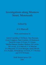 Investigations along Monnow Street, Monmouth 