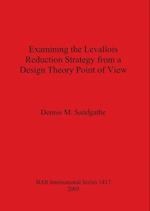 Examining the Levallois Reduction Strategy from a Design Theory Point of View 