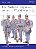 The Austro-Hungarian Forces in World War I (1)