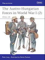 The Austro-Hungarian Forces in World War I (2)