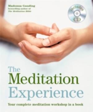 Meditation Experience