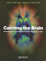 Calming the Brain: Benzodiazepines and related drugs from laboratory to clinic