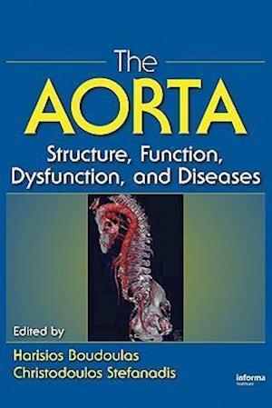 The Aorta