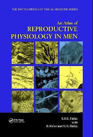 An Atlas of Reproductive Physiology in Men