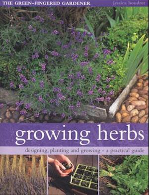 Growing Herbs