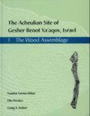 The Acheulian Site of Gesher Benot Ya'akov, Israel