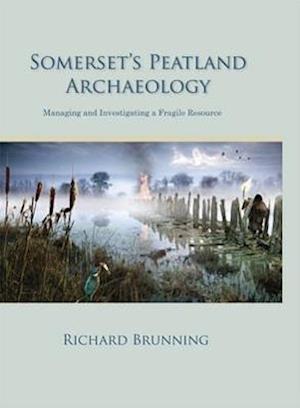Somerset's Peatland Archaeology