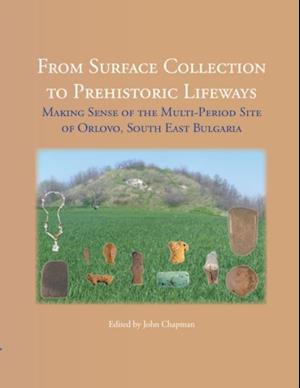 From Surface Collection to Prehistoric Lifeways