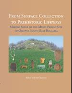 From Surface Collection to Prehistoric Lifeways