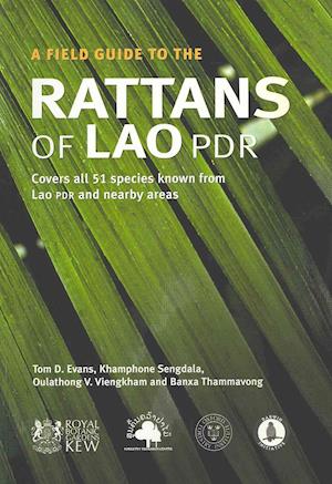 Field Guide to the Rattans of Lao PDR, A
