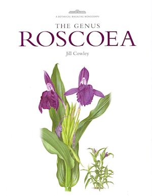 Genus Roscoea, The