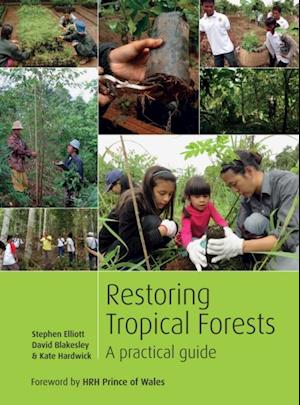 Restoring Tropical Forests