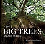 Kew's Big Trees