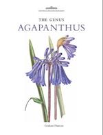 The Genus Agapanthus