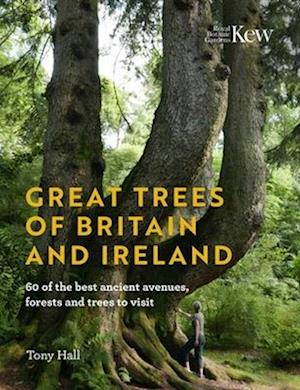 Great Trees of Britain and Ireland