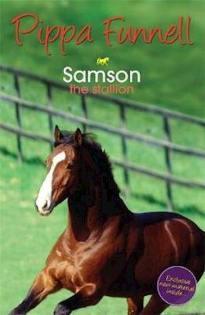 Tilly's Pony Tails: Samson