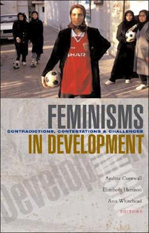 Feminisms in Development
