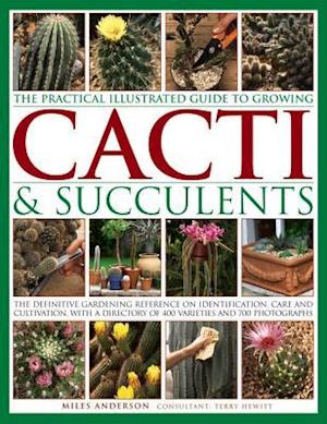 Practical Illustrated Guide to Growing Cacti & Succulents