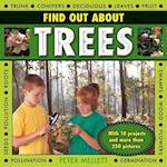 Find Out About Trees