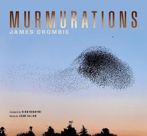 Murmuration