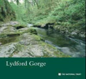 Lydford Gorge, Devon