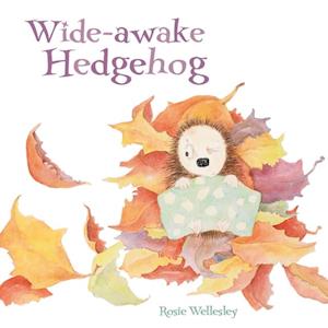 Wide-awake Hedgehog