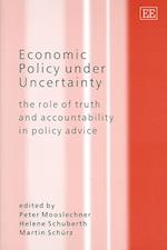 Economic Policy under Uncertainty