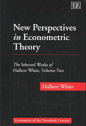 New Perspectives in Econometric Theory