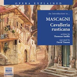 Introduction to Mascagni