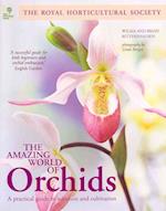 The Amazing World of Orchids