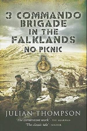 3 Commando Brigade in the Falklands: No Picnic