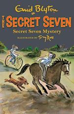 Secret Seven Mystery