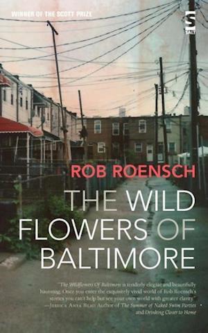 The Wildflowers of Baltimore