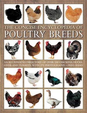 The Concise Encyclopedia of Poultry Breeds