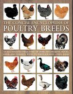 Concise Encyclopedia of Poultry Breeds