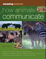 How Animals Communicate