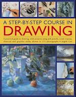 A Step-By-Step Course in Drawing